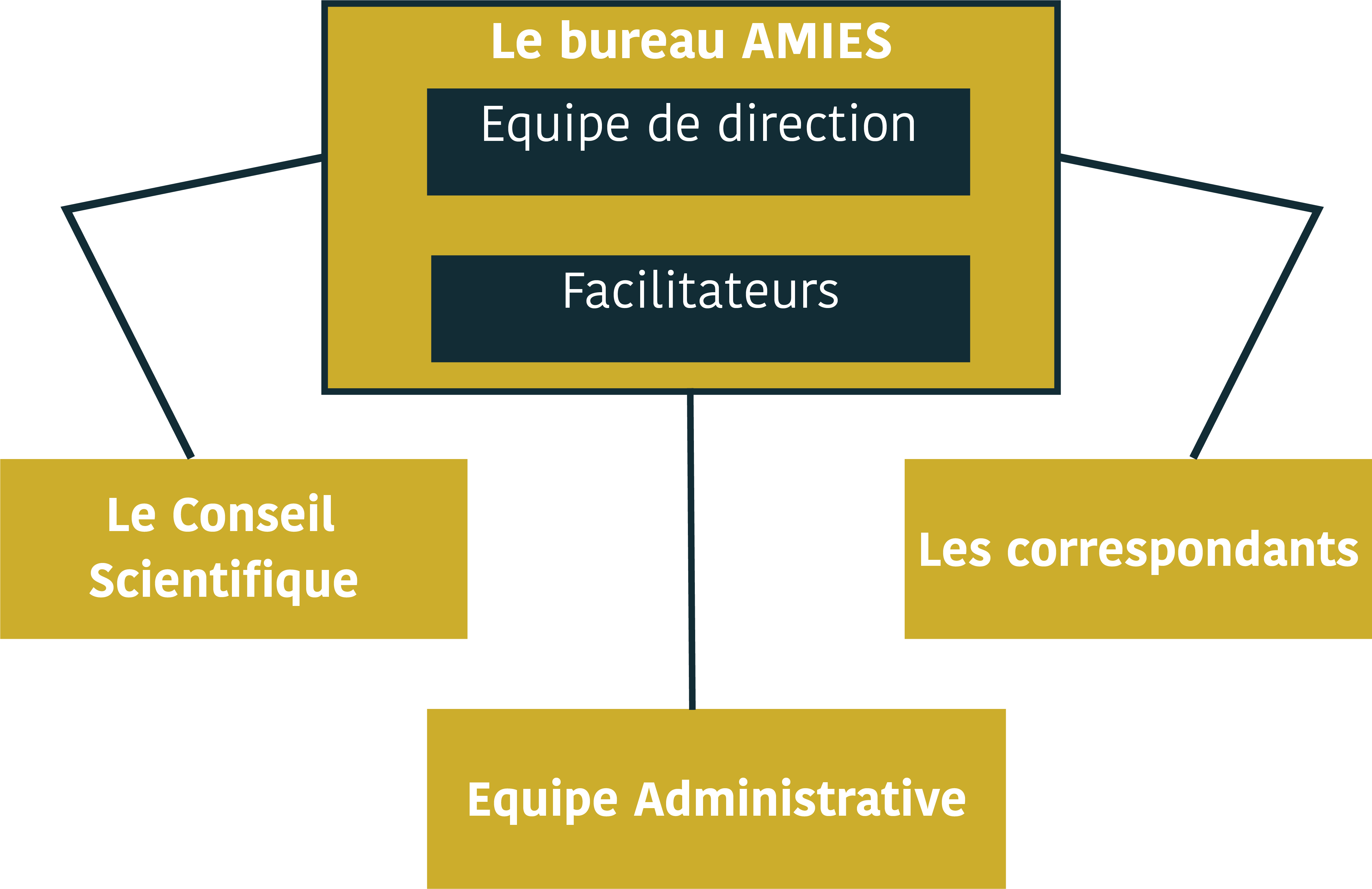 organigramme